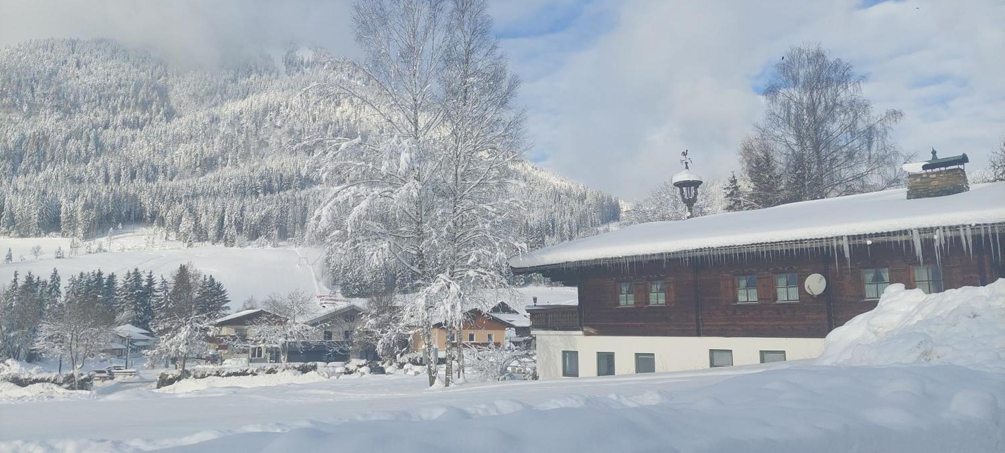 Appartements Haus Bergland Санкт-Мартин-ам-Тенненгебирге Экстерьер фото